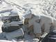 A woodpile in the snow