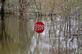 A stop sign says it all in the flood waters.. Taken April 24, 2023 Dubuque, IA by Veronica McAvoy.