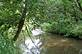 Swiss Valley Nature Center in 2001