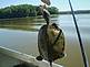 Out on the Mighty Mississippi with my Dad, Butch, I caught something I wasnt expecting!