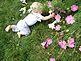 Owen Mason at 7mths picking his first flowers. Taken 09-23-09 my babysitters back yard by Kimberly Jo Wulfekuhle.