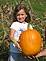 Little girl with a big pumpkin.