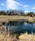 Early Spring Splendor. Taken March 18, 2012 Near Derby Grange Road by Laurie Helling.