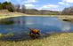 Jumping into a Spring day!. Taken Sunday March 18, 2012 Derby Grange Road by Laurie Helling.