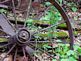 Wheels of Time. Taken March 31, 2012 E.B. Lyons Nature Center by Laurie Helling.