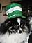 BANJO IS READY FOR ST. PATTY'S DAY