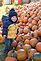 Jaxon Ranallo. Taken Oct, 2009 Bahl's Family Farm by Nancy Odefey.