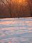 pink refelection on snow. Taken 12/27/09 Rural East Dubuque by Betty Buol.