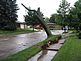 Tree uprighted on Crestwood Drive after falling across pickup truck the previous evening. Taken 7:45 am Friday, July 23, 2010,  on Crestwood Drive, just east of Westridge, Dubuque, by Brian Cooper.