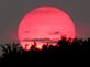 Fire in the Sky (passing rain clouds make for dramatic sunset). Taken June 19, 2011 Cedar Cross Road by Laurie Helling.