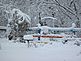 winter gardenscape. Taken 12/09//09 rural East Dubuque by Betty buol.