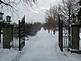 Snowy Gated Lane:
by Tammy Flynn