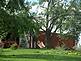 A large tree that fell through the roof of a machine shed. Taken 7/24/09 near Kieler, Wisconsin by Emma.