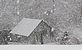 An old shed in the snow. Taken on Thursday evening near Dubuque by Dawn Pregler.