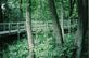 South Mound Bridge. Taken in summertime Effigy Mounds National Monument in Harpers Ferry by Barb Miller.