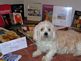 Spice helps me study for my BA degree. Taken Saturday, March 6, 2010. At my home, among the many books required for the degree program. by Coleen Hein.