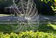 spider web. Taken september 2009 my back yard by Randy Hammerand.