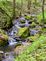 Woodland Stream in Spring. Taken Spring Clayton County by Laurie Helling.