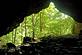 The trees are framed by the cave at Maquoketa Caves State Park, Photo by Lorlee Servin of Dubuque.