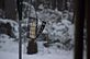 Woodpecker feeding on the feeder. Taken 12-30-12 Backyard in Dubuque by Peggy Driscoll.