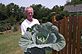 Jim Driscoll with his big Home grown Cabbage. Taken 6-30-12 Backyard in Dubuque by Peggy Driscoll.