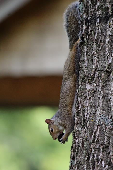 Submitted by: podnar06